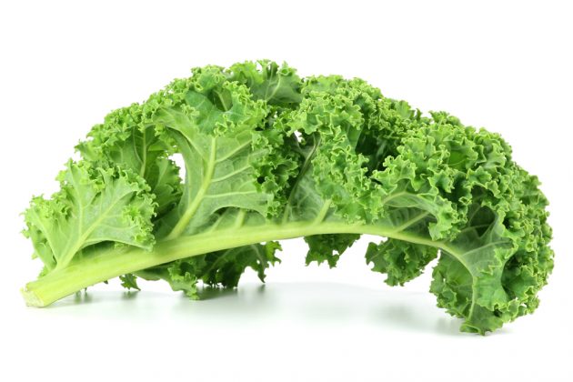 ZIMNÍ VITAMÍNY: KADEŘÁVEK – KRÁL ZIMNÍ ZELENINY