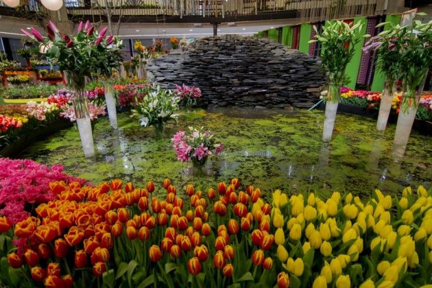 Jarní Flora představí Tajemnou tvář světa