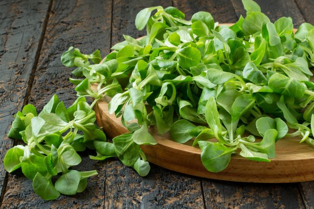 ZDRAVÍ NA TALÍŘI: ZDRAVÉ A LAHODNÉ BABY SALÁTY A MICROGREENS