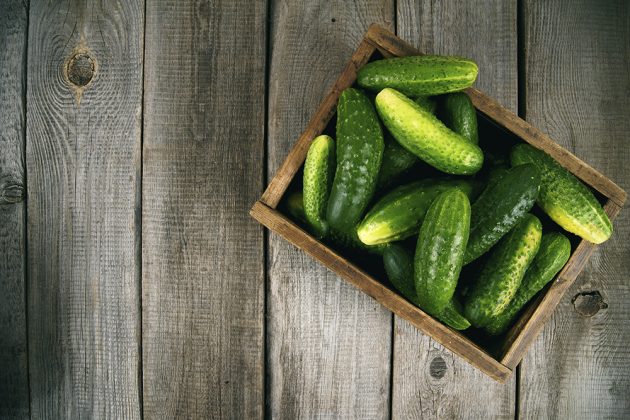 Okurková sezona: S okurkami si v létě rozhodně neodpočinete