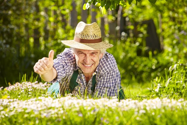 Více relaxovat, méně pracovat: Zahrada inteligentních lenochů