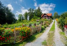 užitková a okrasná zahrada