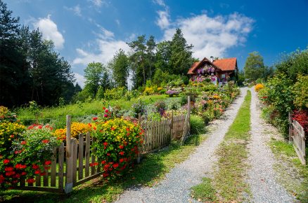 užitková a okrasná zahrada