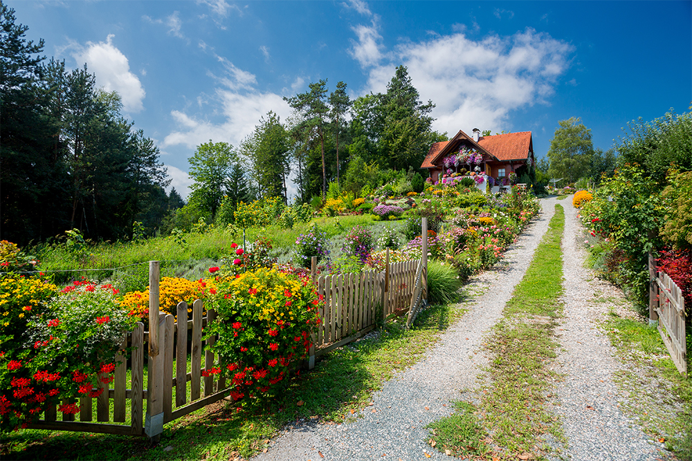 užitková a okrasná zahrada