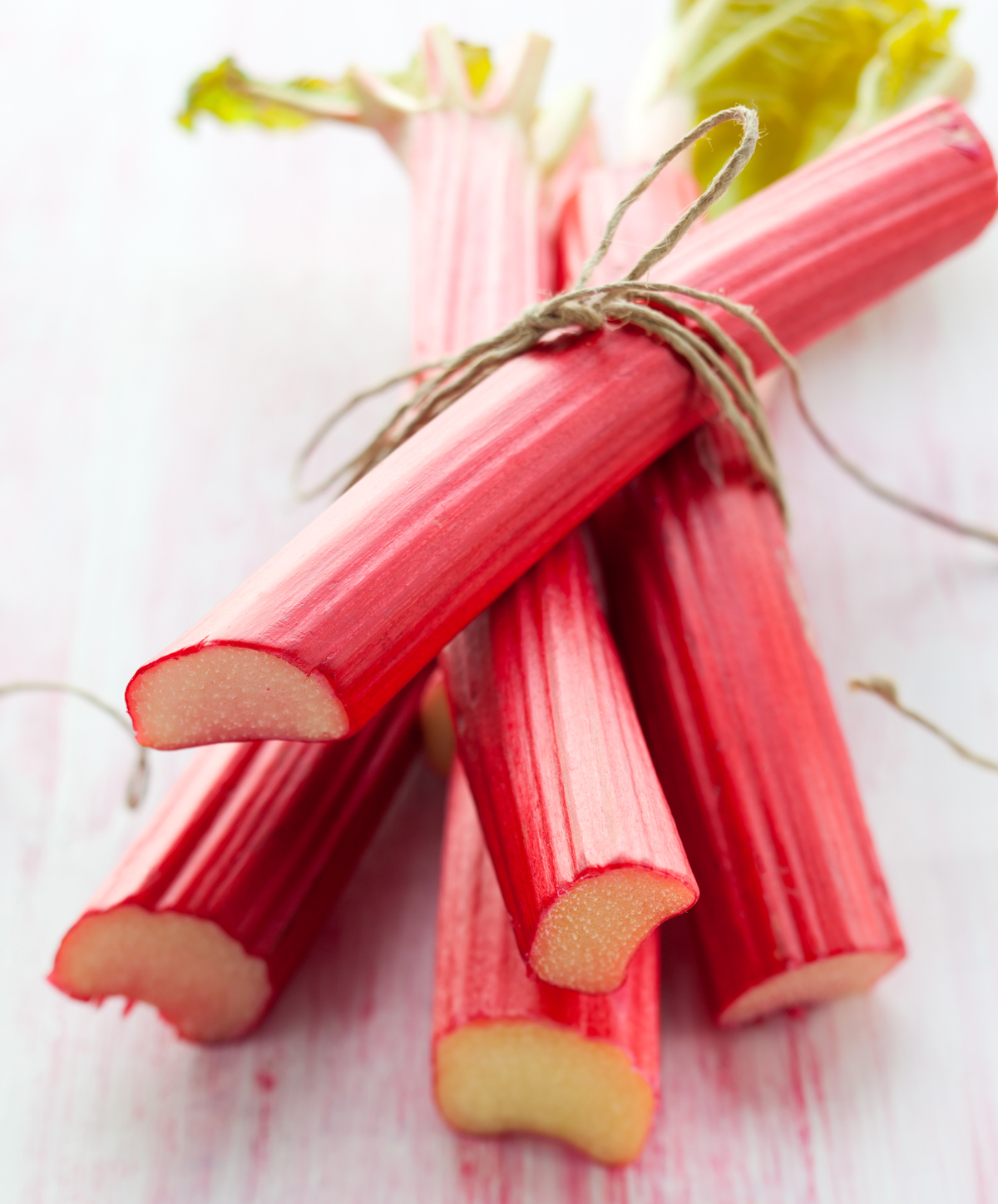 uvod_shutterstock_97622942