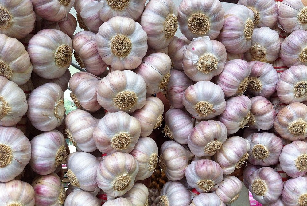 garlic-937534_1280