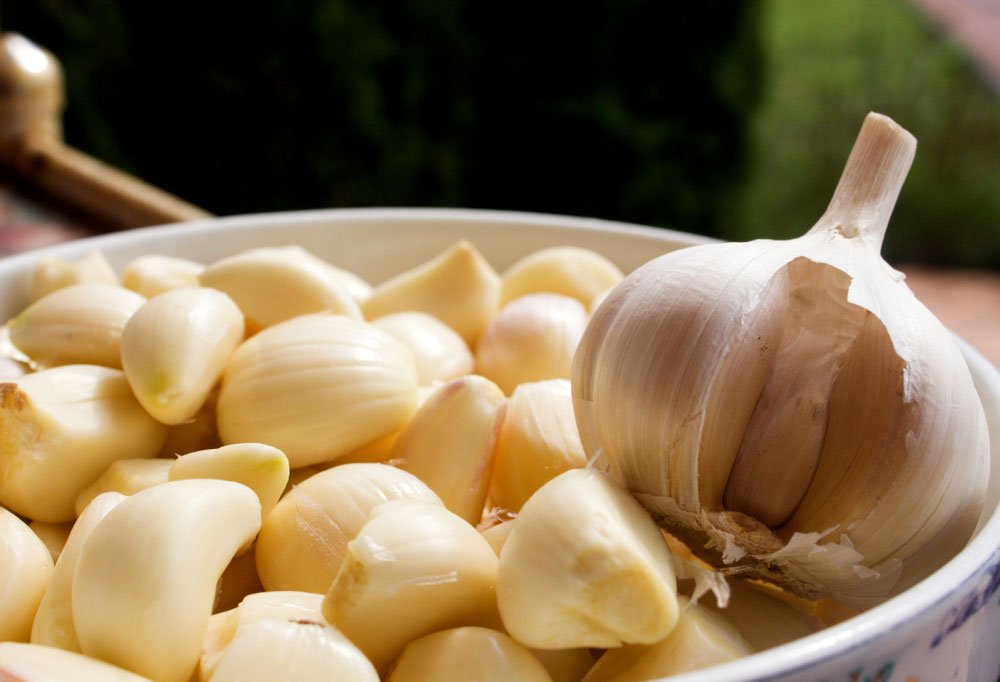 shutterstock_1159947052