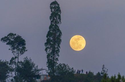 lunární kalendář