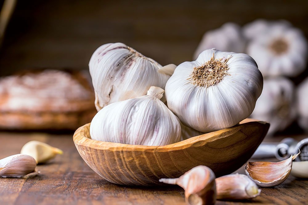 shutterstock_552242461-(1)