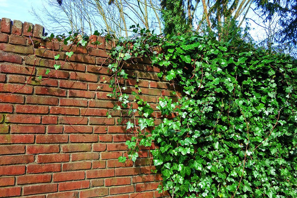 brick-wall-3269969_1280