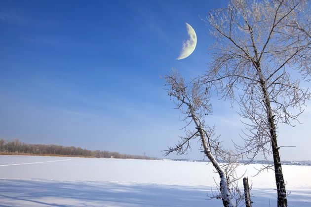 Lunární kalendář pro zahrádkáře – únor 2019