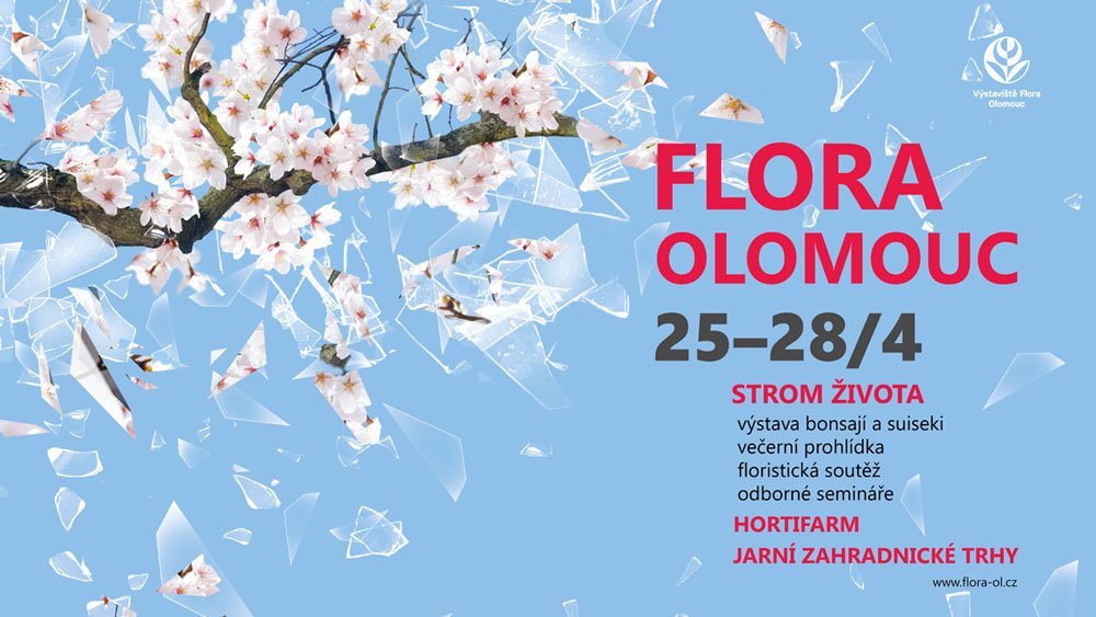 Znalezione obrazy dla zapytania flora olomouc 2019