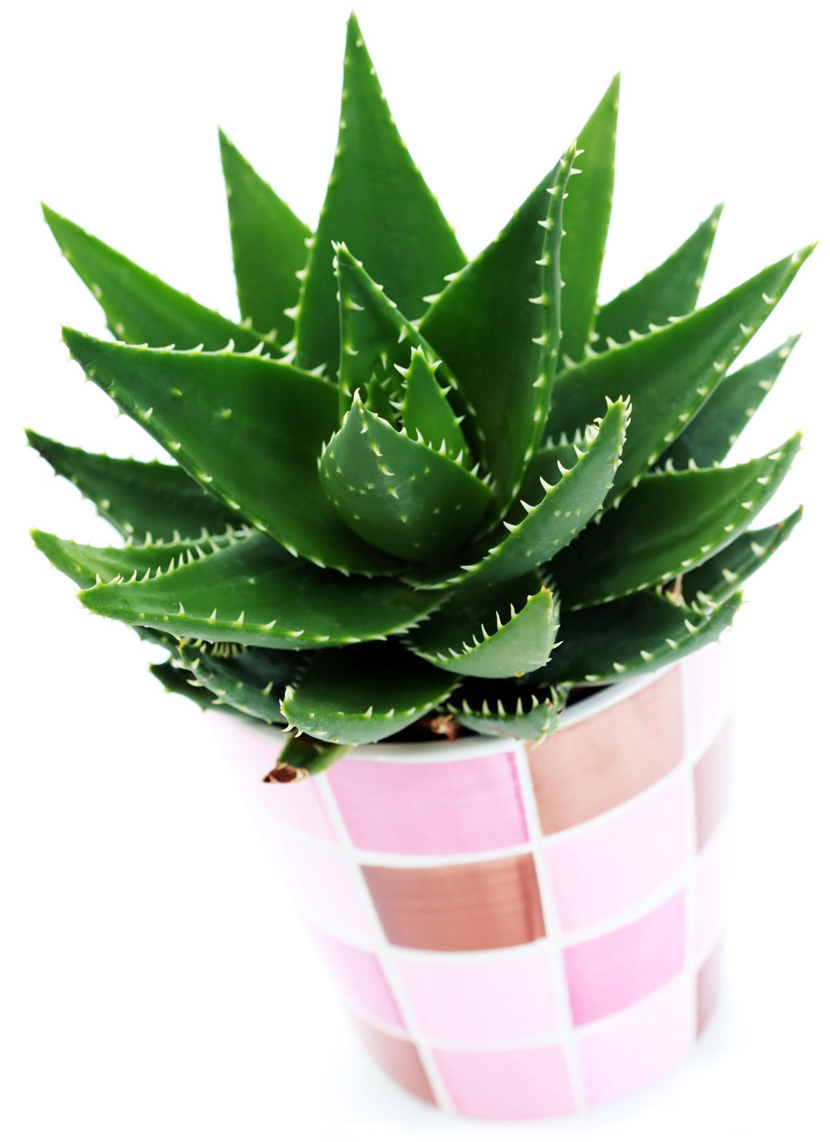 iStock-146917125