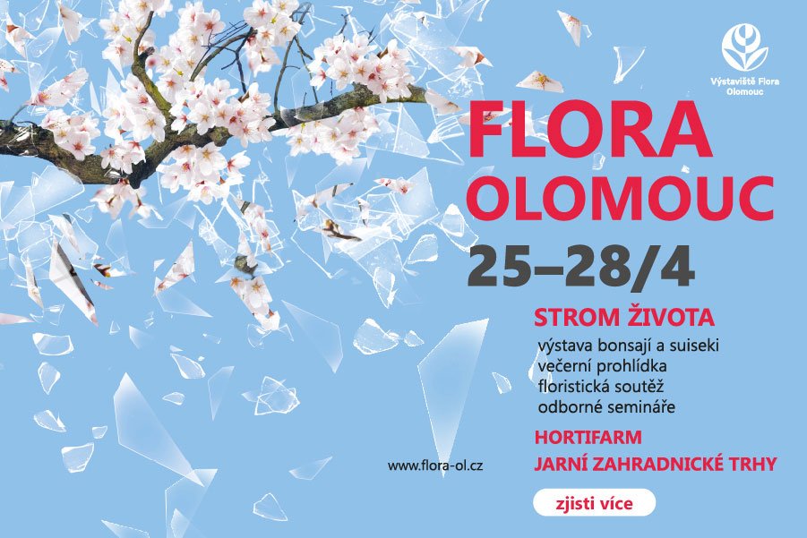 Flora Olomouc