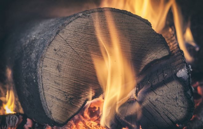 Popel ze dřeva nevyhazujte. Poslouží jak hnojivo