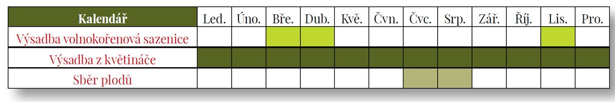 tabulka pro vysázení a sběr moruše