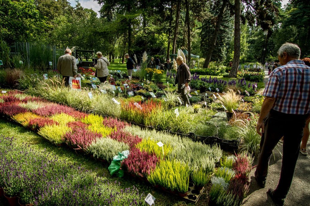 podzimní Flora Olomouc