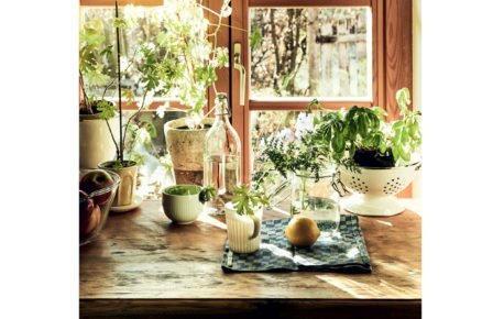 kuchyňské okno s bylinkama ve vázách a pěstěbných nádobách