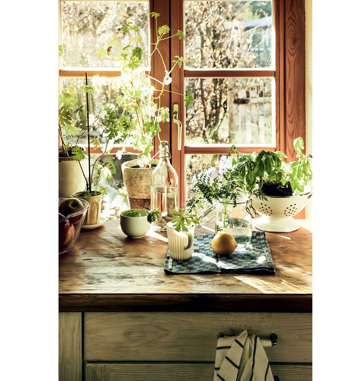 kuchyňské okno s bylinkama ve vázách a pěstěbných nádobách