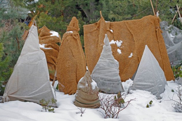 6 spolehlivých materiálů, díky kterým vaše rostliny přežijí zimu