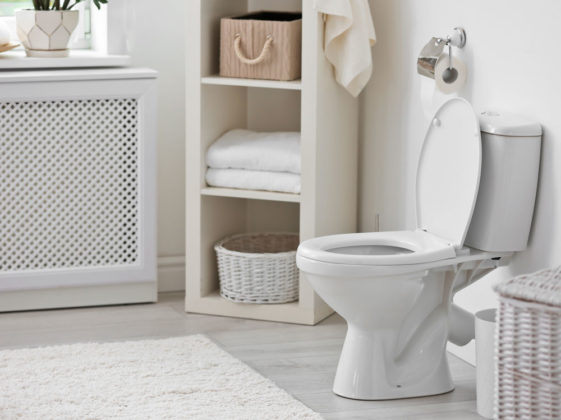 Jak zabránit únikům vody: WC