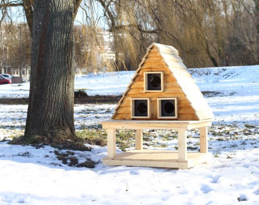 Hobby projekt: Tenhle domek se bude vašim kočkám rozhodně zamlouvat (video)