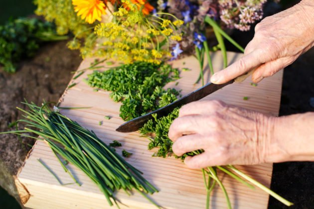8 aromatických bylinek, které zpestří váš jídelní lístek