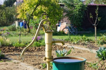 Klimatické změny a zahrada