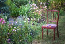 Jak vytvořit romantickou květinovou zahradu: dřevěná židle vedle květinových záhonů