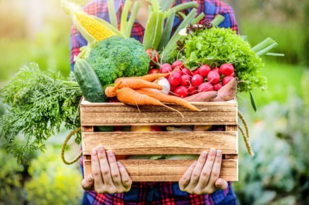 Tipy pro bohatší úrodu a prodloužený sběr plodin