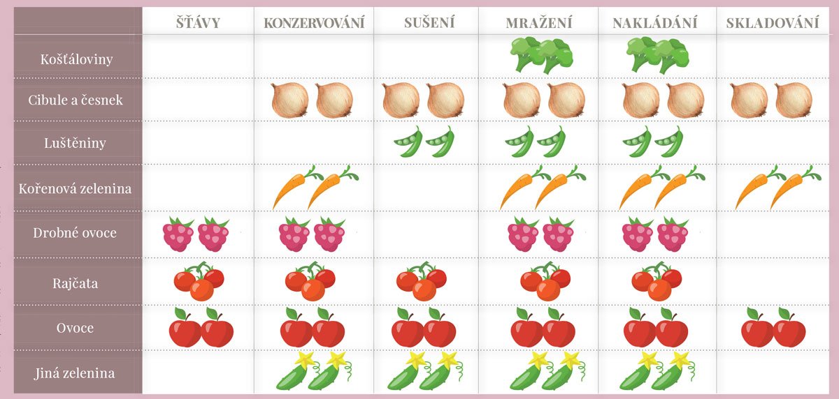 6 způsobú zpracování ovoce a zeleniny