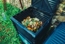 5 nejčastějších problémů kompostování: mušky v kompostu, zapáchající kompost