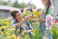 Které letničky si vypěstujete i ze semen: matka s dcerou v květinové zahradě