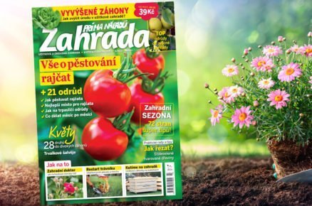 časopis Zahrada prima nápadů květen/červen 2021