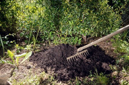 založení vřesoviště: Příprava místa a doplnění kyselého substrátu