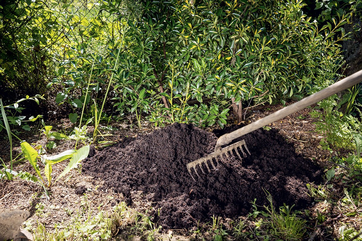 založení vřesoviště: Příprava místa a doplnění kyselého substrátu