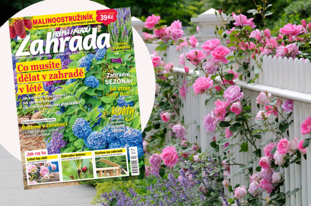 Nová Zahrada prima nápadů – červenec! Připravte se na letní řez růží