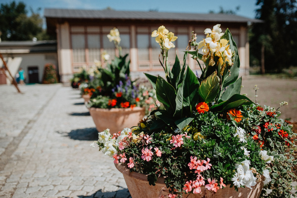 Výstaviště Flora Olomouc