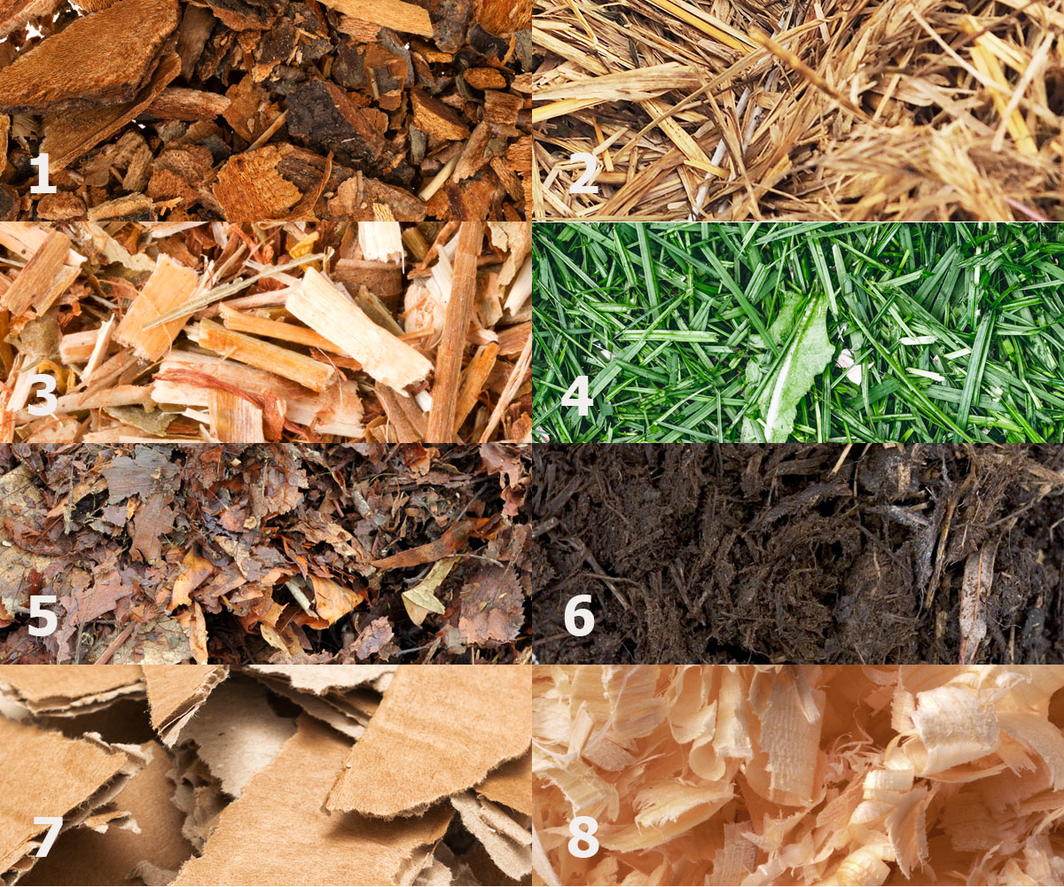 mulčovací organické materiály: sláma, borka, štěpka, tráva, listnatá hrabanka, kompostovaná kůra, karton, hobliny
