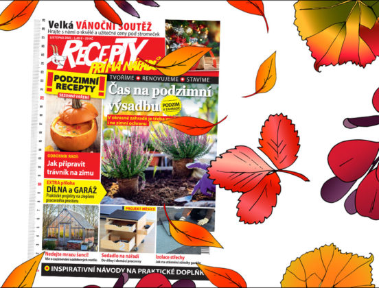 Časopis Recepty prima nápadů listopad