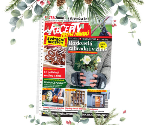 Časopis Recepty prima nápadů prosinec