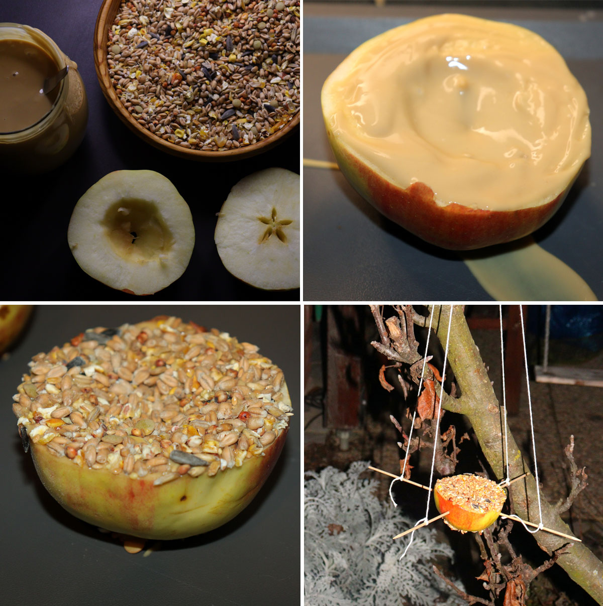 Výroba krmení pro ptáky z jablka