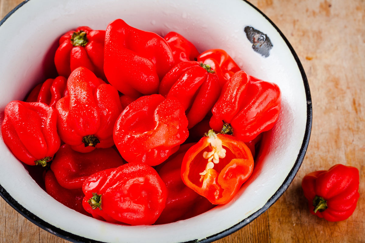 Červené habanero papriky