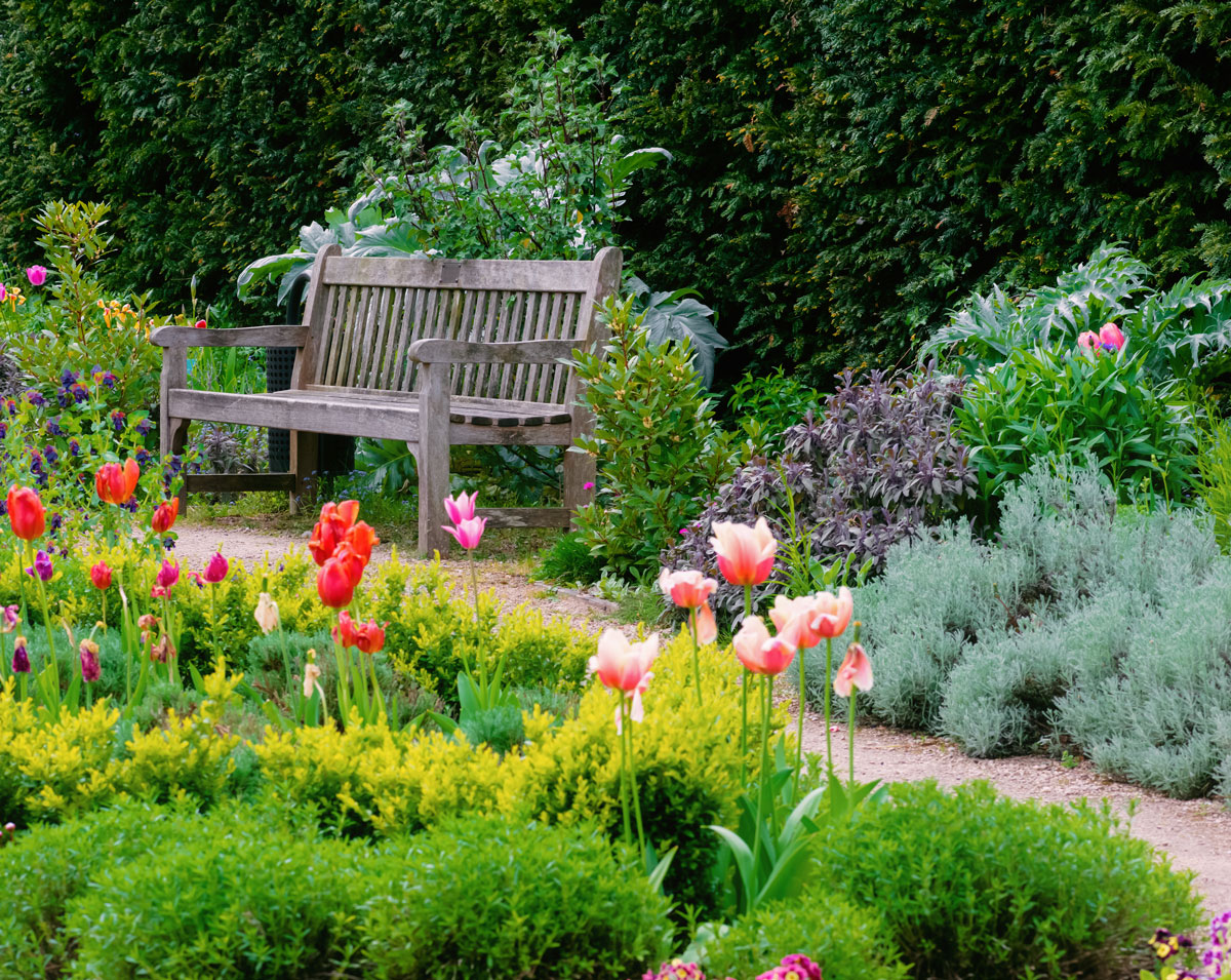 Okrasná zahrada s chodníčkem a lavičkou