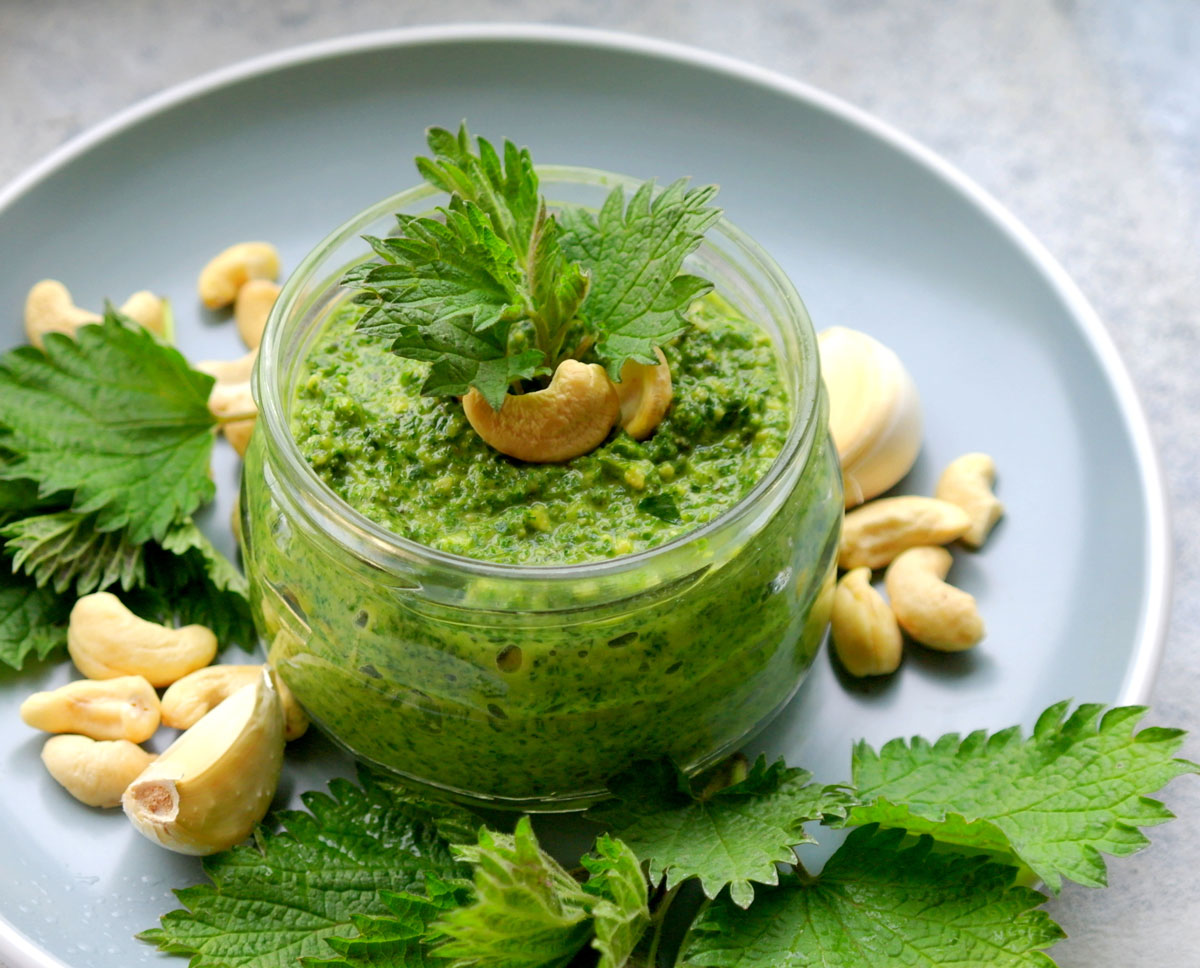 Kopřivové pesto