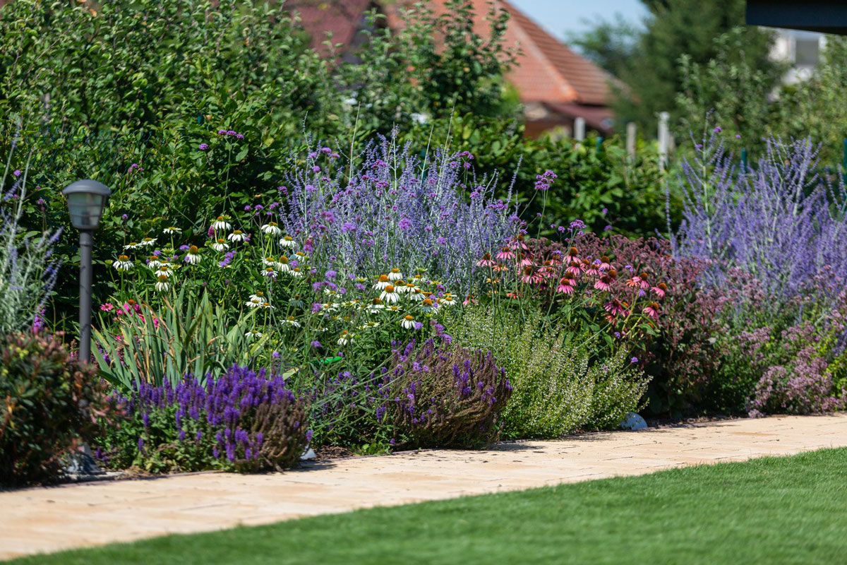 Chodník v zahradě lemovaný okrasnými záhony s různobarevnými kvetinami