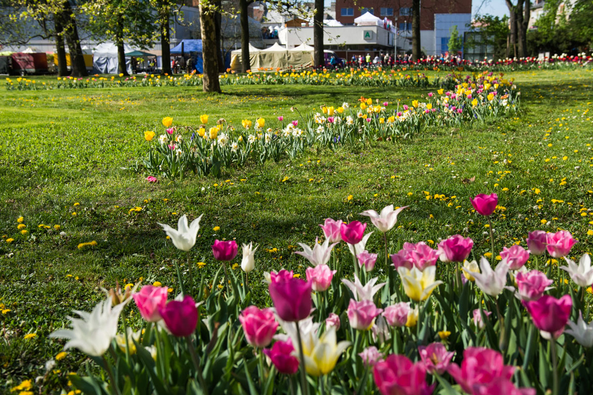 Flora Olomouc 2022 exterier