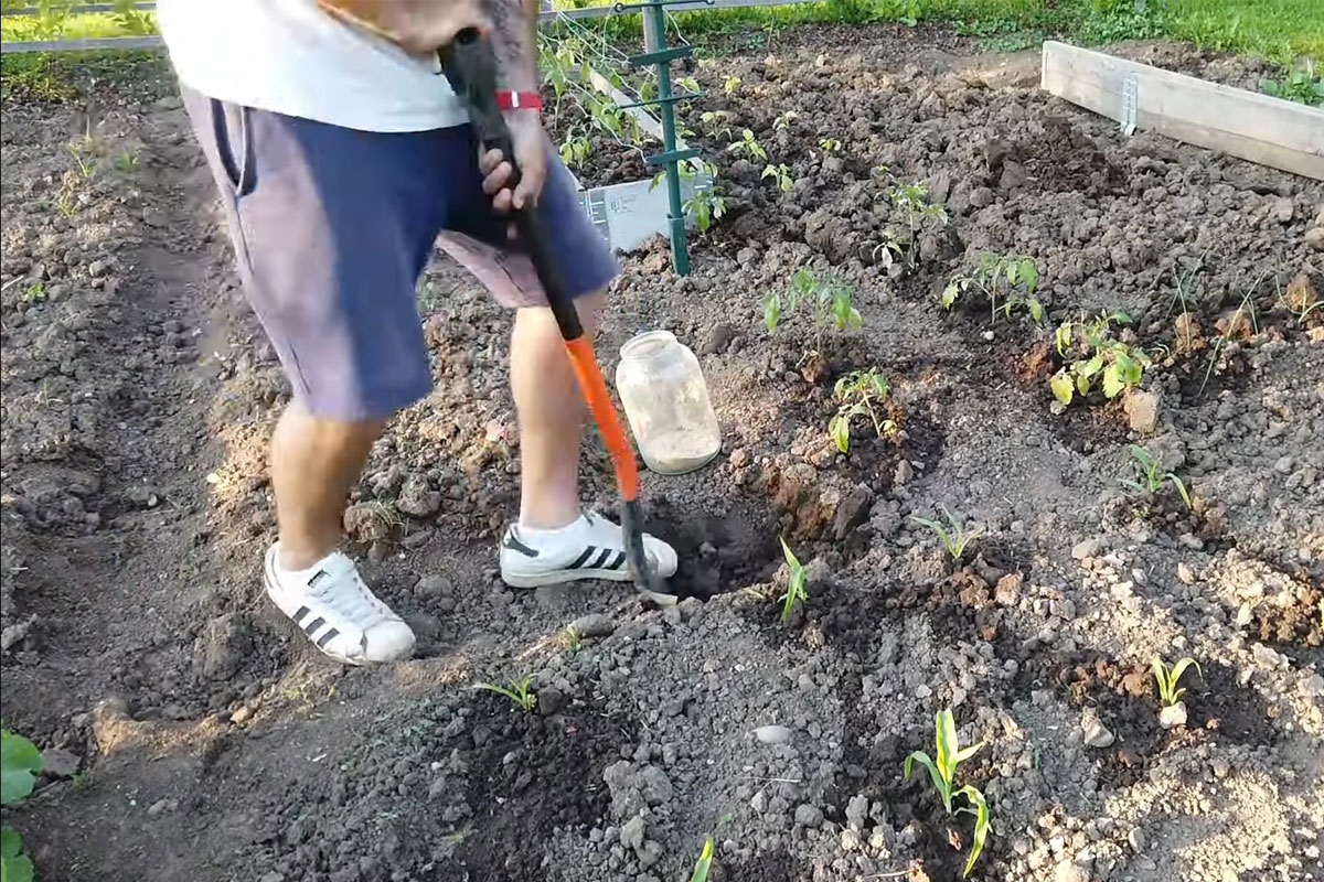 výroba pasti na krtonožku, vykopání jámy pro skleněnou nádobu