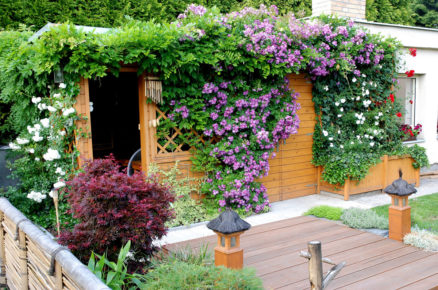 letní dřevěná zahradní stavba s popínavými rostlinami, od stavby vede vysutá terasa nad jezírko