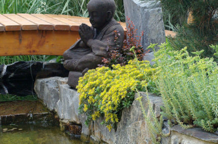 zákoutí jezírka se sochou Buddhy a výsadbou skalních květin